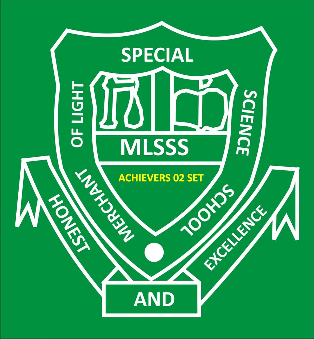 mlsss02 school badge
